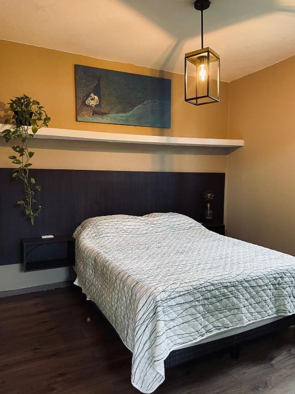 Loft equipado, en el centro de Oaxaca, Oaxaca