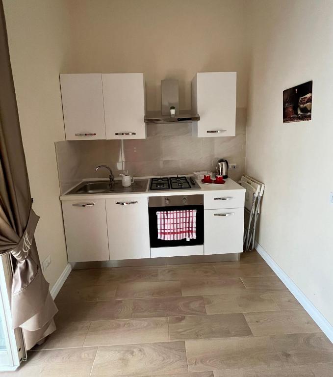 MC Apartments photo