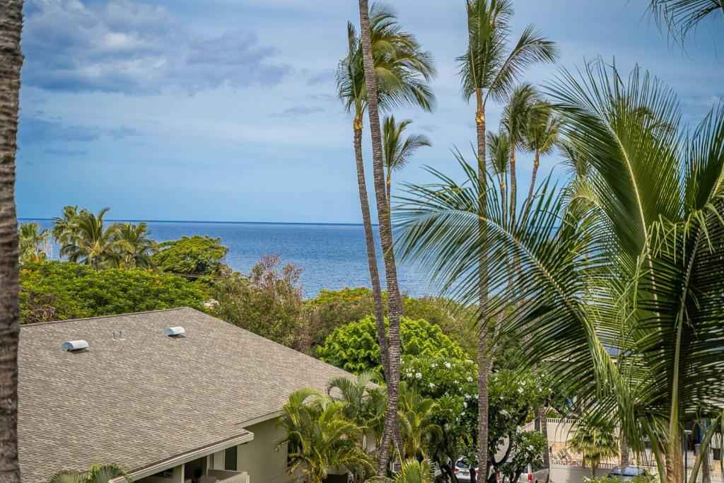 Kihei Akahi C-513 photo