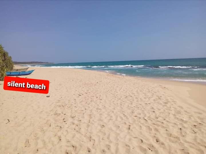 Star Sun Homestay photo