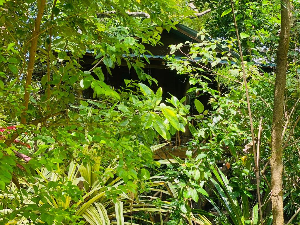 girilena resort photo