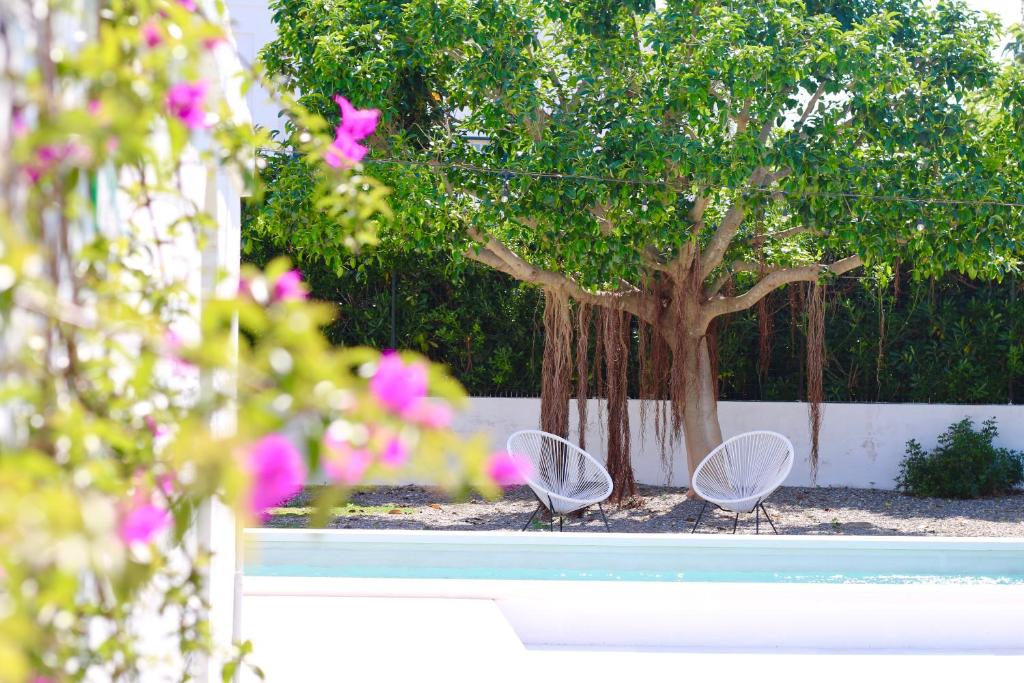 AllaTorretta23, Fasano