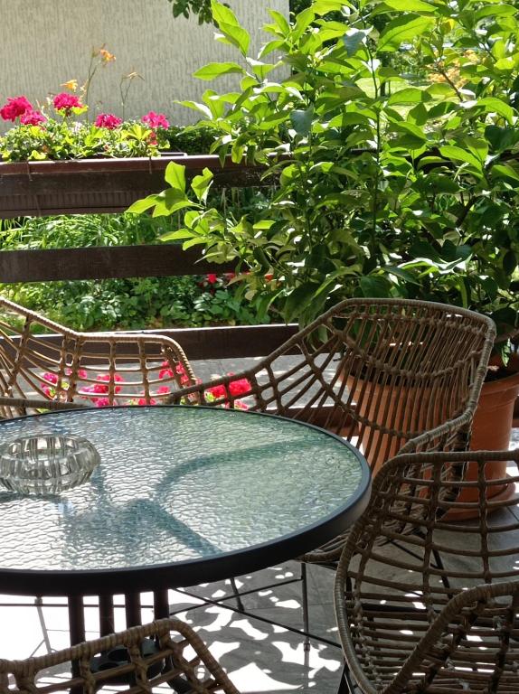 Apartman Skudar photo