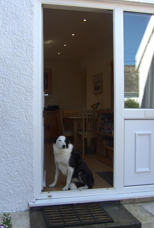 The Cwtch, Marloes photo 8