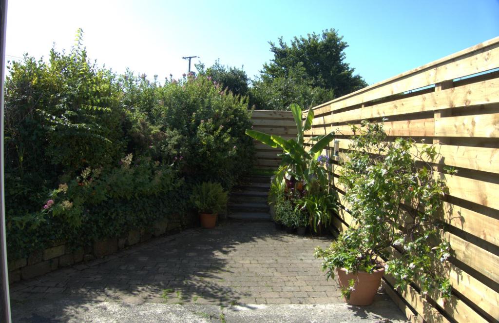 The Cwtch, Marloes photo 7