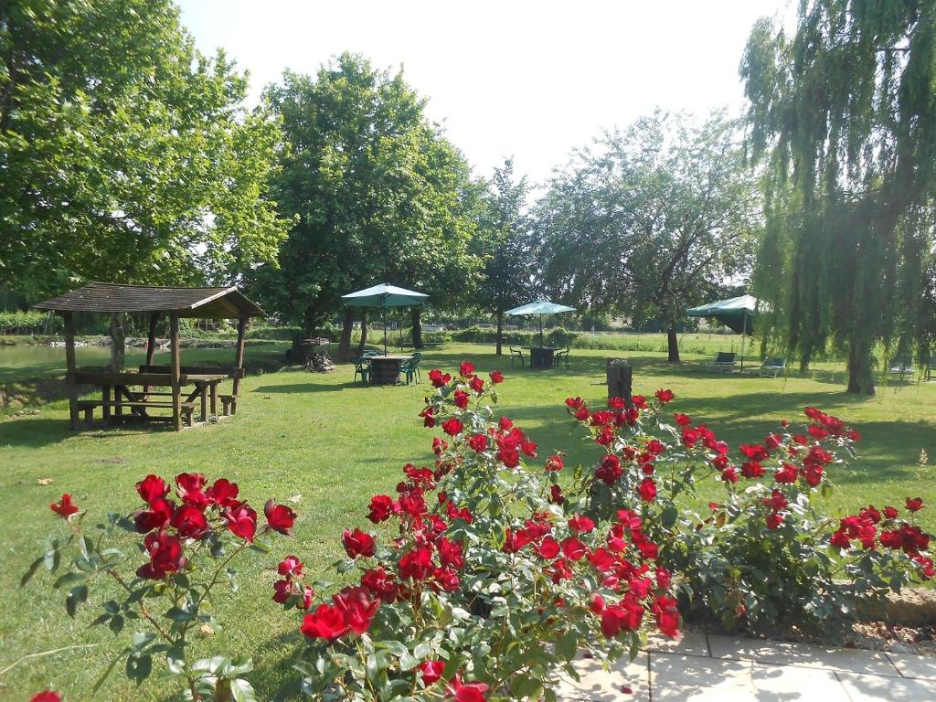 agriturismo ca persiane photo