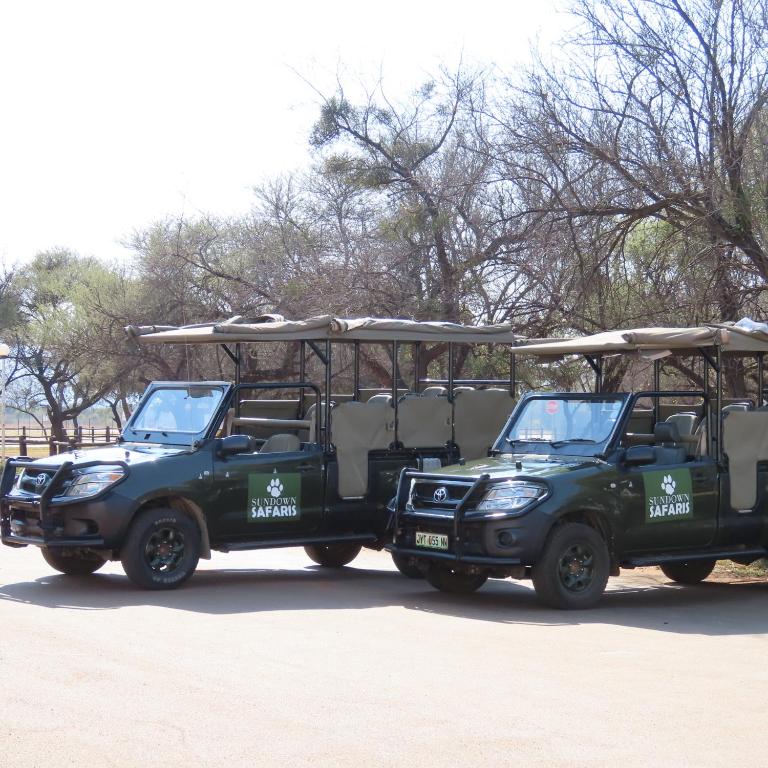 アクティビティ