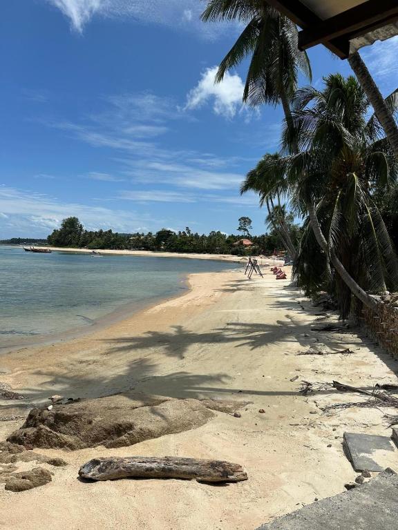 Chill Inn Lamai Hostel & Beach Cafe photo