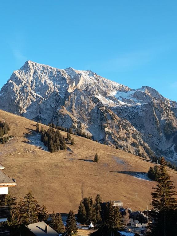Appartement au cœur des Aravis - 2