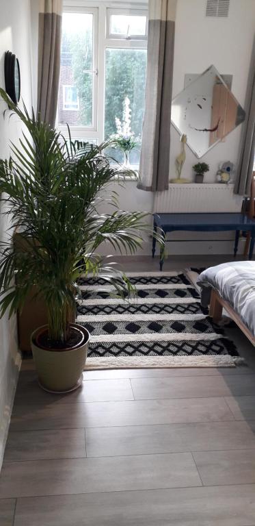 7, Cranehouse brangbourne road one double room available on reasonable price photo