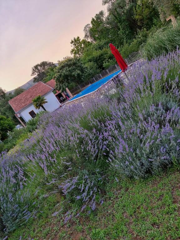Holiday Home Harmony - 5