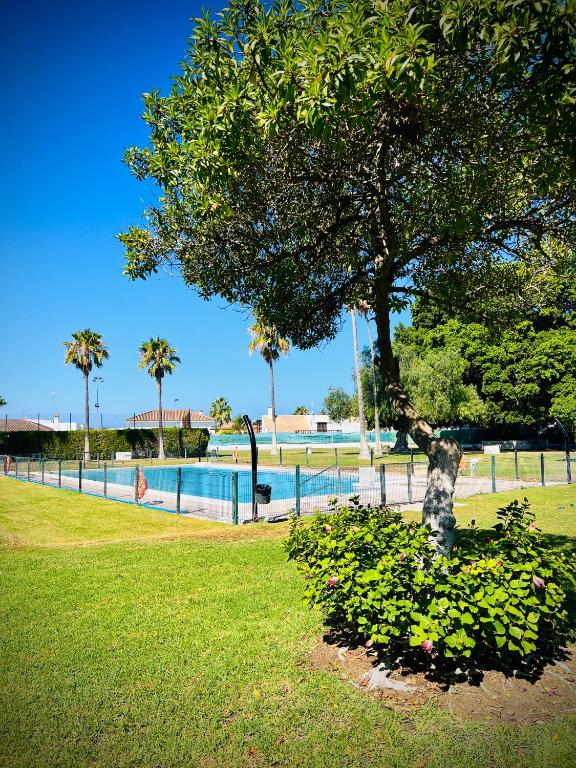 Villa Horacia - Playa de la Jara con Piscina - 4