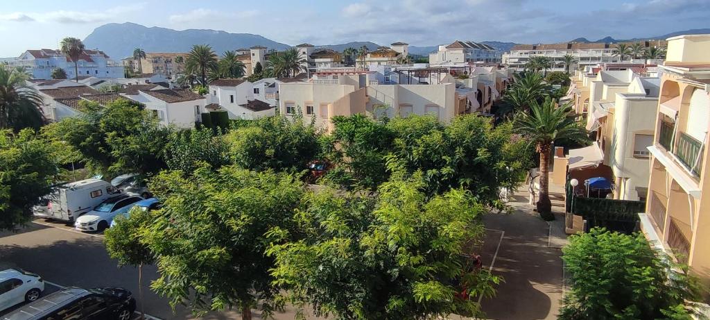 La Palmera - 4