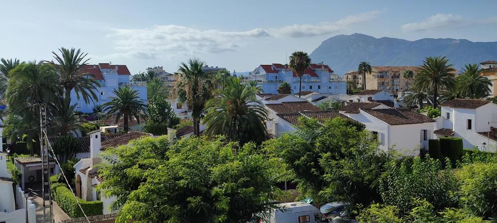 La Palmera - 3