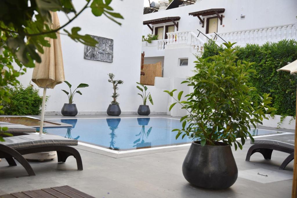 スイミングプール