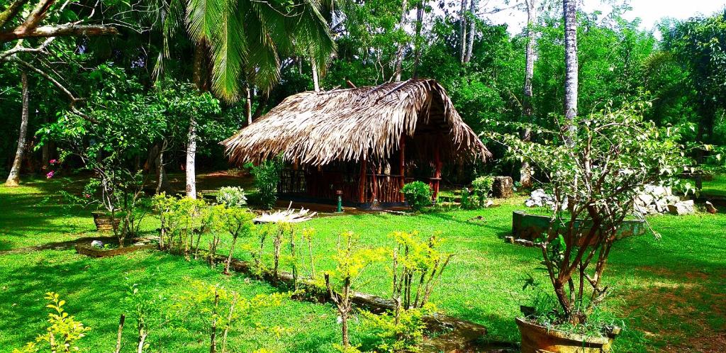 Pokuna Safari Eco Lodge photo