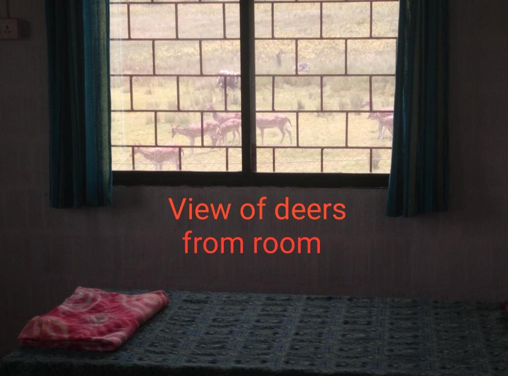 Jungle Homestay near Bandipur Mudumalai Masinagudi — Hotel in Mudumalai