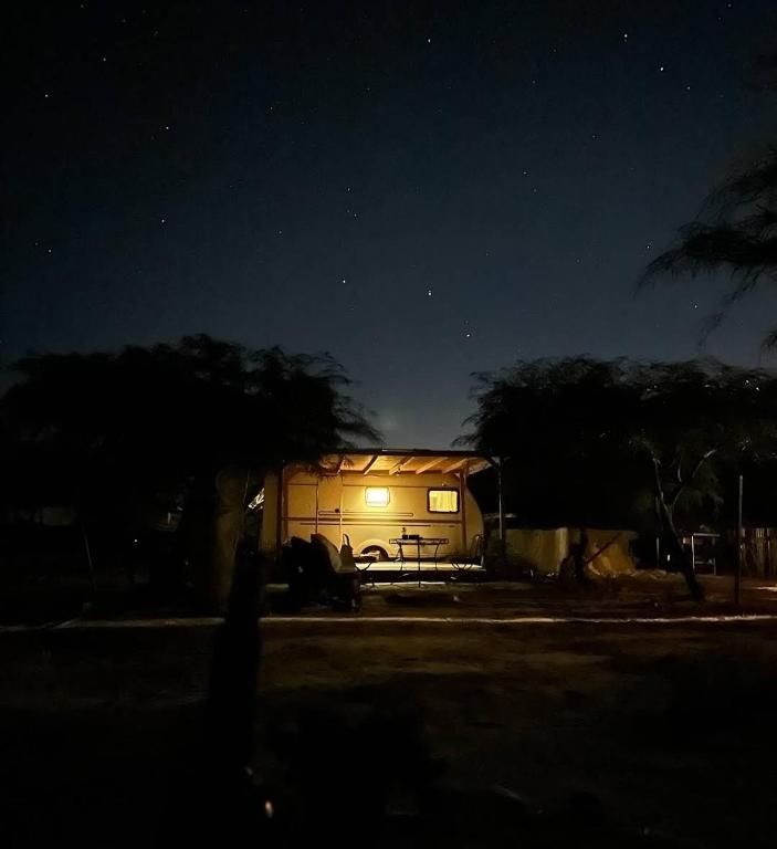 השקדיה - Shkedya photo