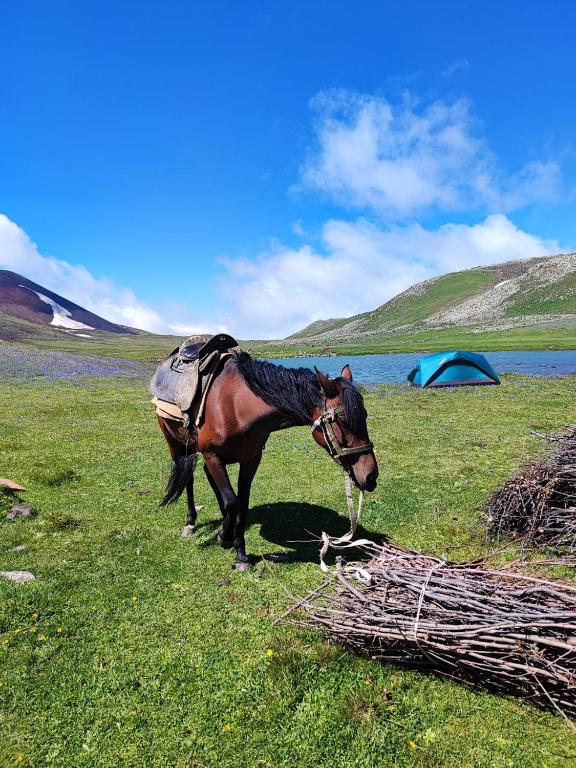 Highland Hostel photo
