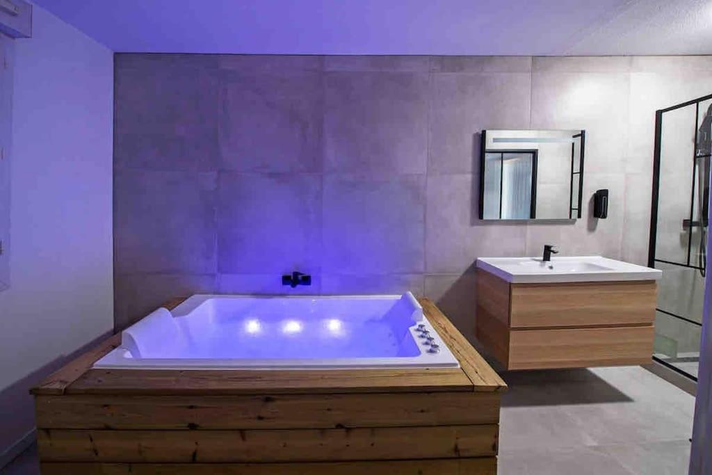 appartement avec jaccuzzi 15 min du centre de lyon, Villeurbanne