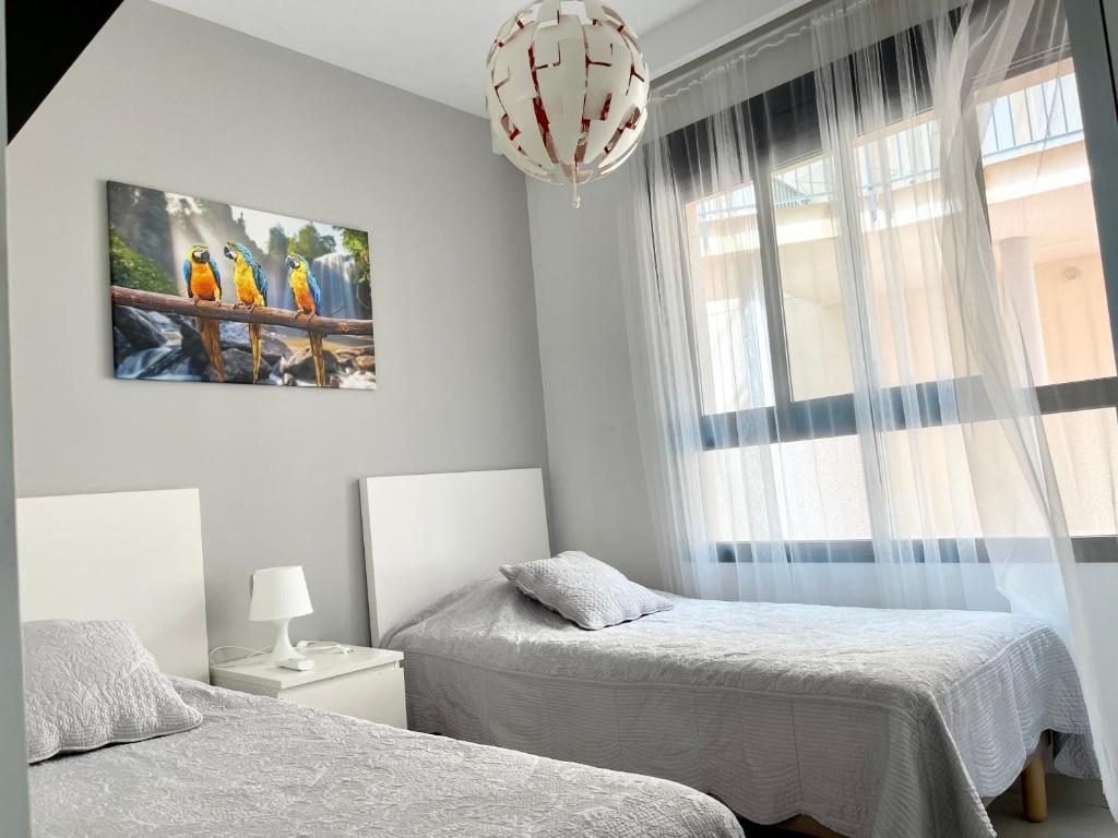 Apartment Playa Elisa Bay - 4