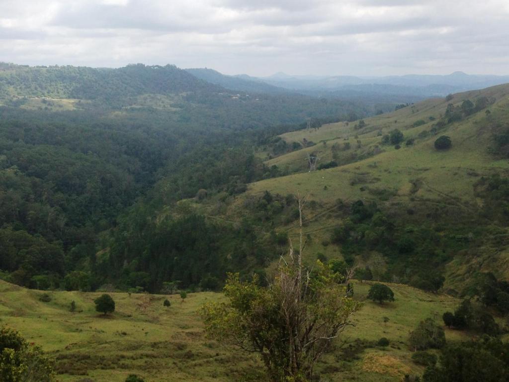 Bohemian Breeze in Bald Knob, Australia reviews, prices of