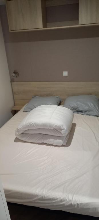 MH 502 Bois Dormant annexe - 2