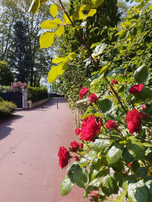Studio moderne, place parking privé, emplacement idéal à 100 m du lac., Annecy