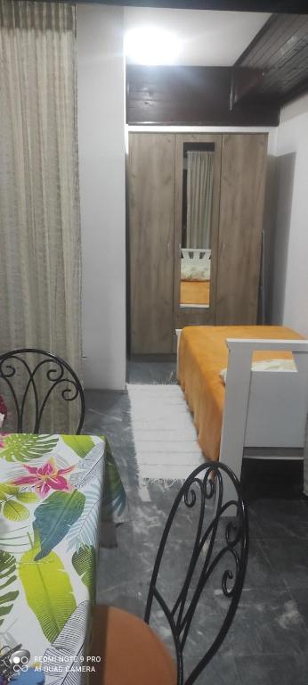 LENA Apartman 45m2 Sokobanja-CENTAR - 3