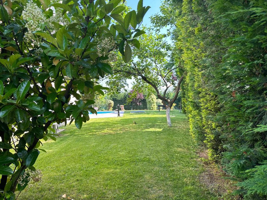 Guzel Evler Family Resort photo