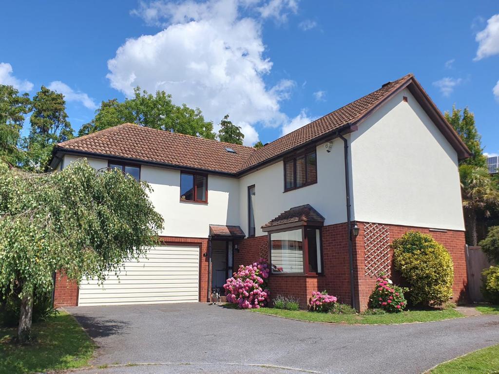 Meadow View, Sidmouth