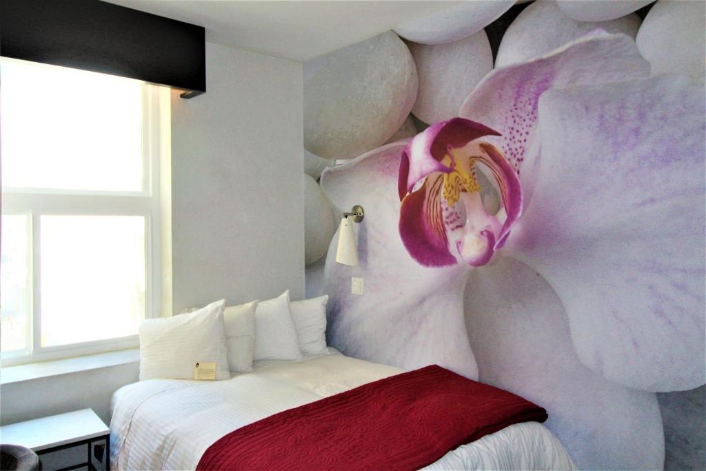 O Hotel by LuxUrban photo