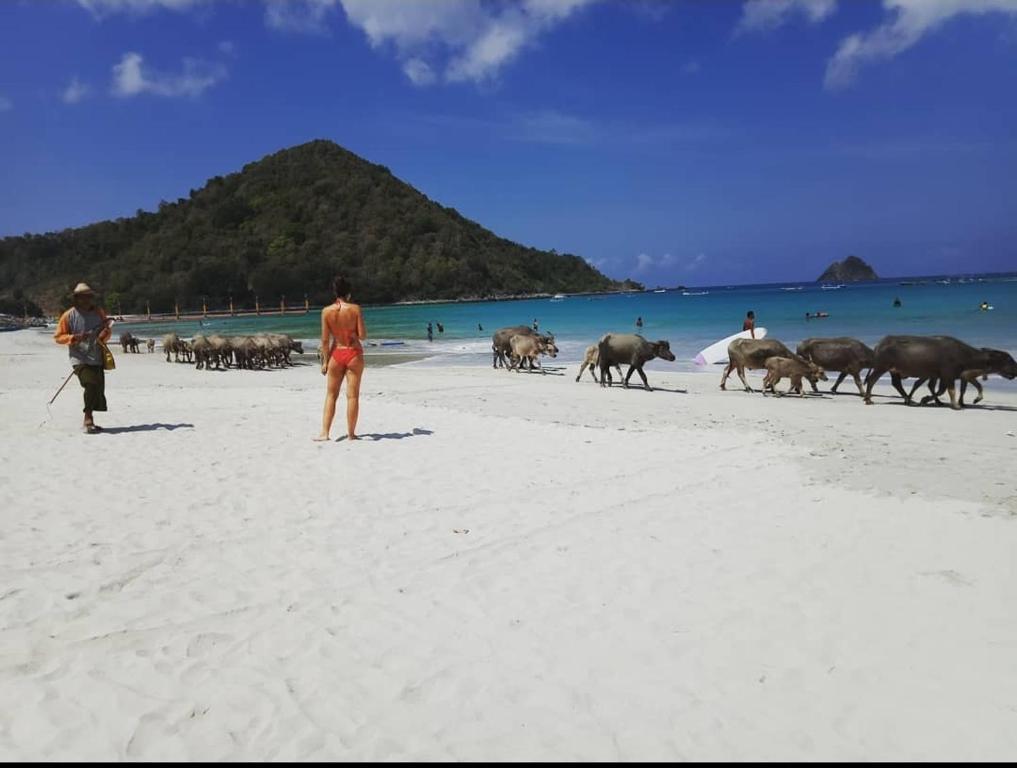 Mahkota Atia Bungallow