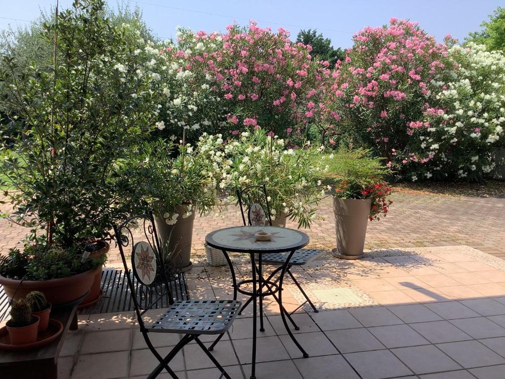 Edys Family Home - 3