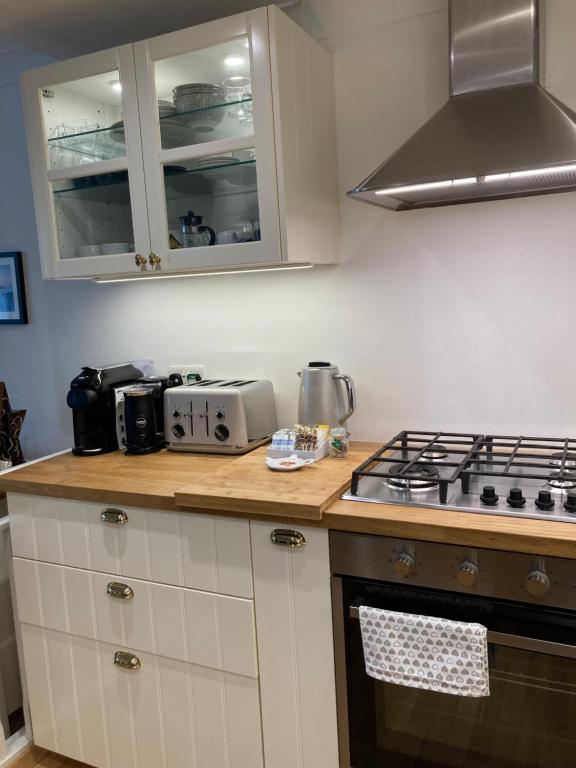 Olive Tree Apartment Hove photo