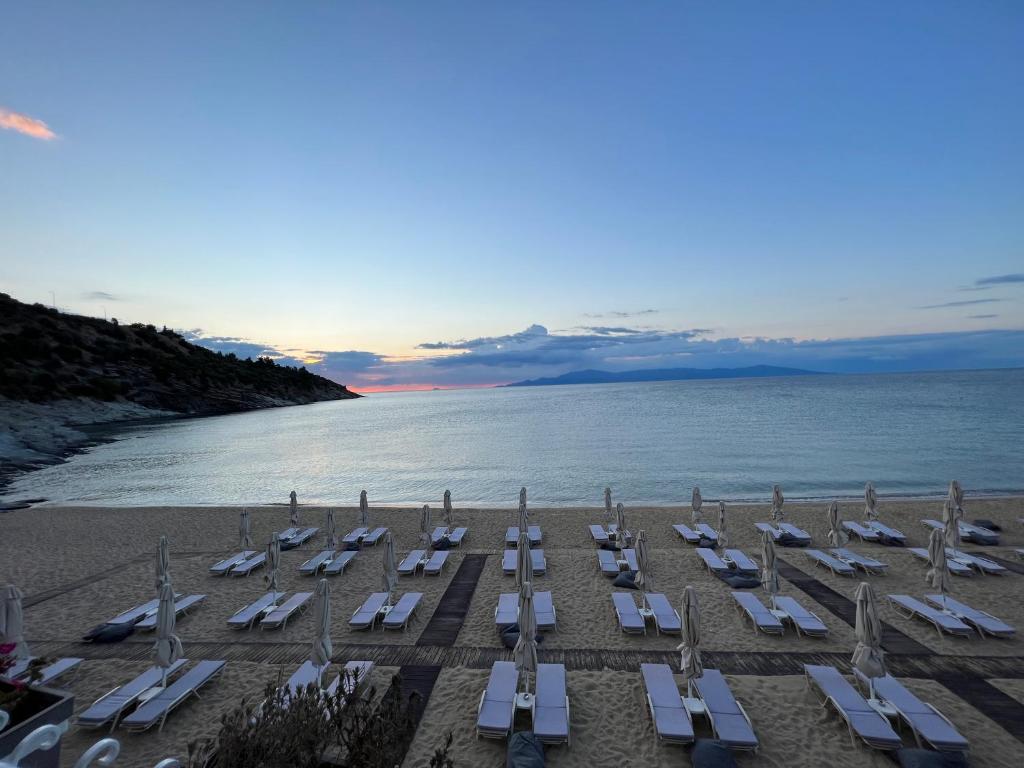Tosca Beach Hotel photo