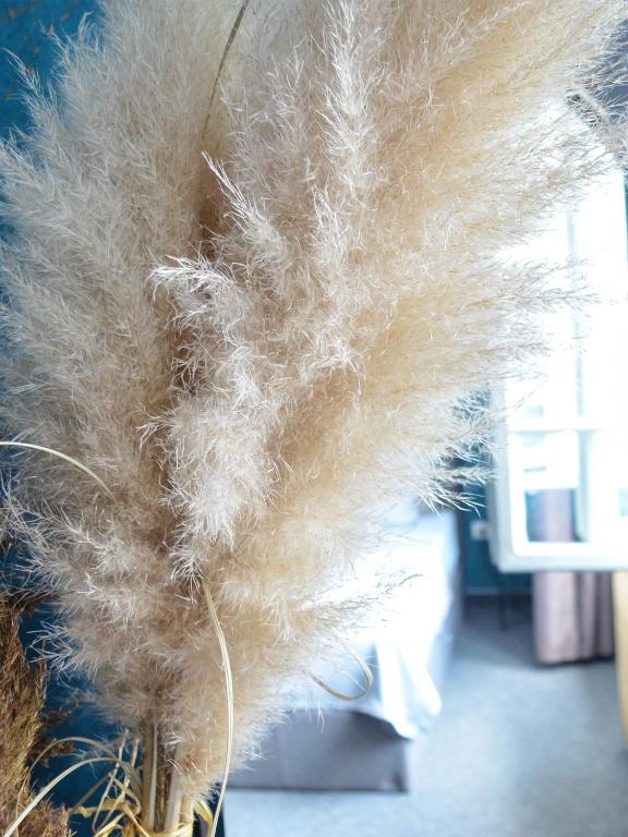 MOOW Belgrade Waterfront View Apartments - 5