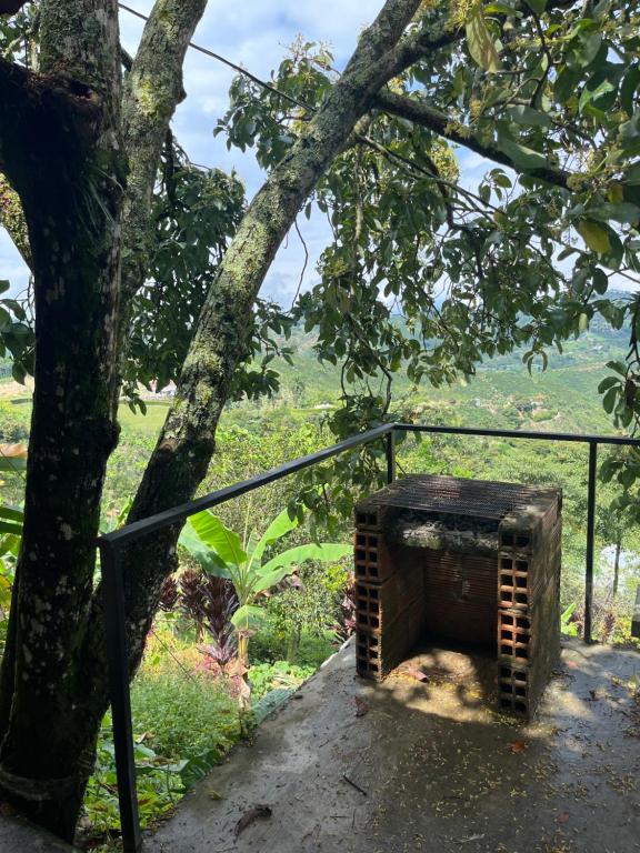 Tierra Mágica eje cafetero - 5