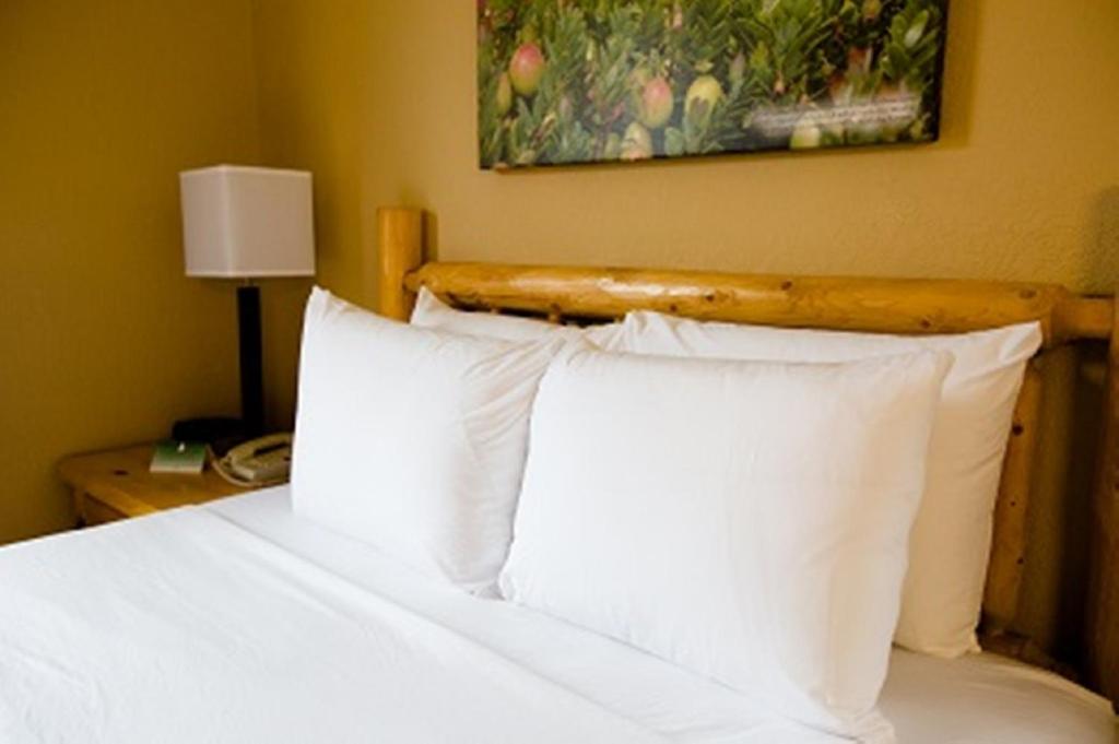 Cranberry Country Lodge photo
