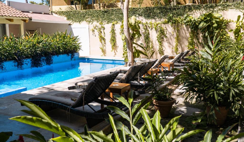 Hotel de Asis photo