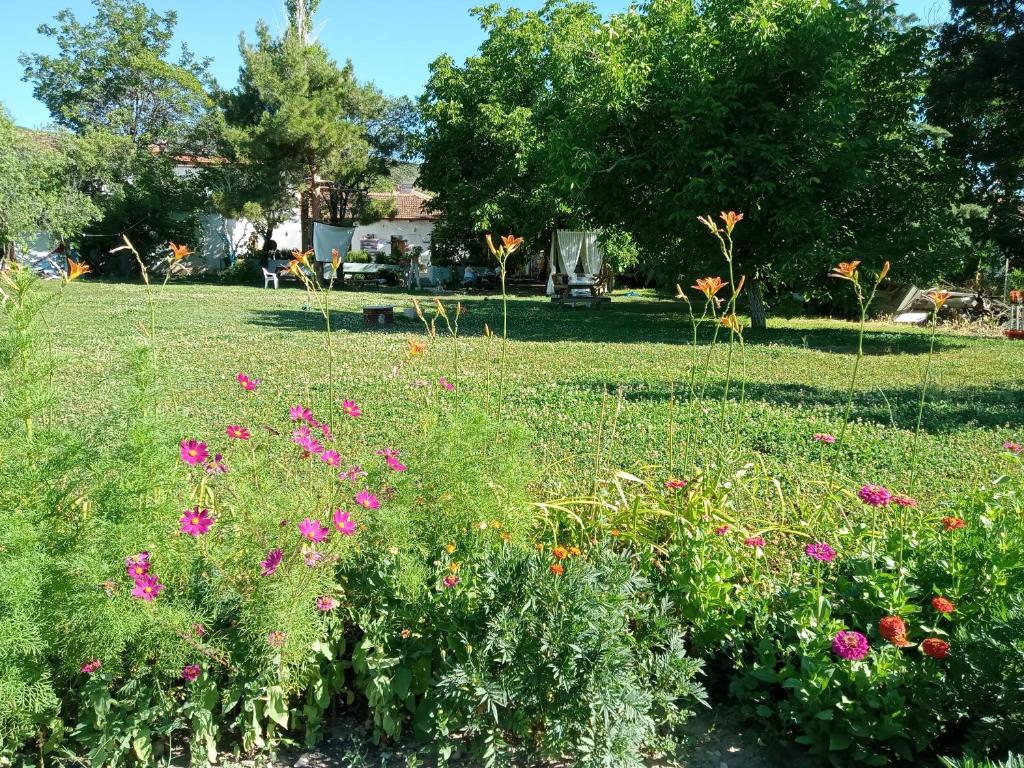 Salda Gölü Koca Kapı Konaklama (Salda Golu Koca Kapı Konaklama)