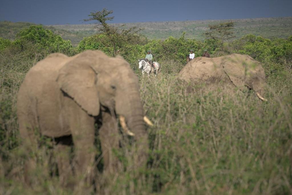 Narasha Homestay - Maasai Mara photo