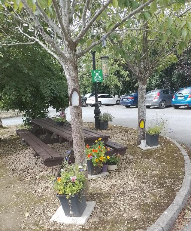 Tara View Apartments photo