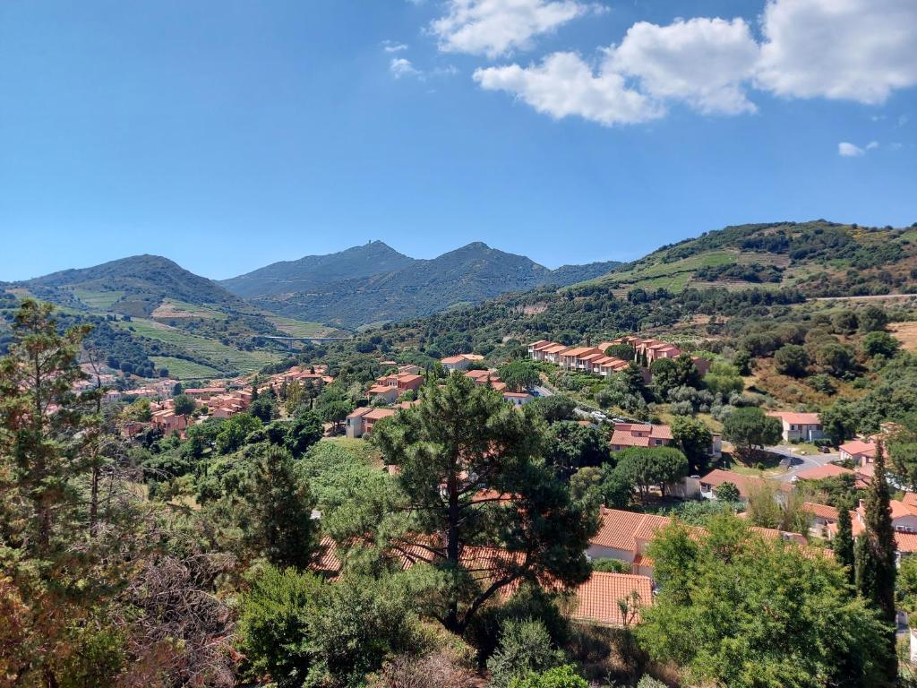 Sur les hauteurs de Collioure - 4