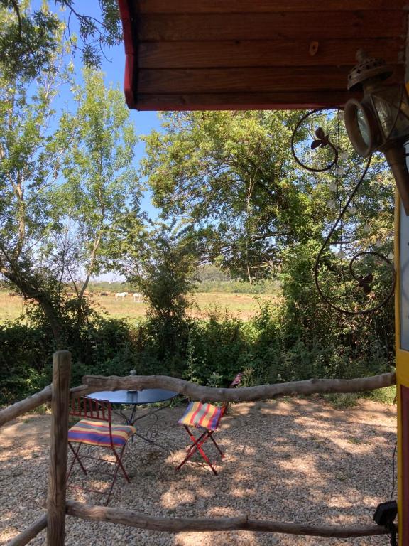 Authentique roulotte en Camargue - 2