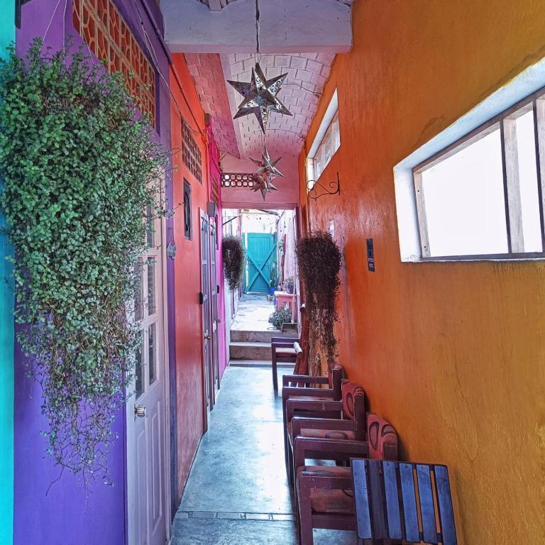 Riad Lola photo