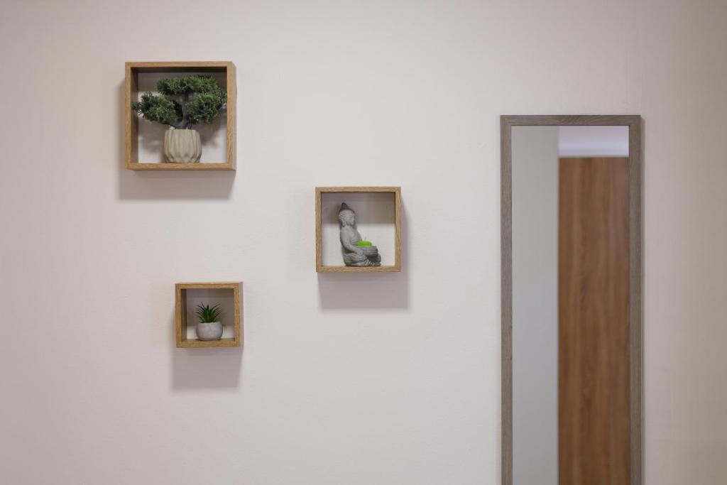 Studio Petra - 5