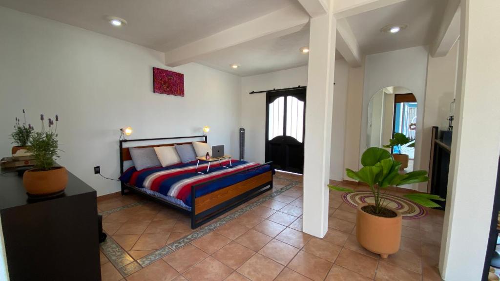 Pent house con terraza o departamento con balcón en el centro de oaxaca - 3