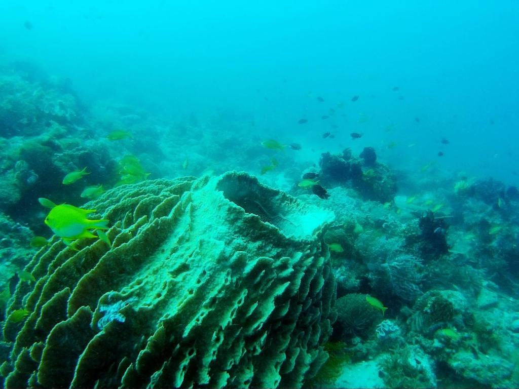 スポーツ/アクティビティ