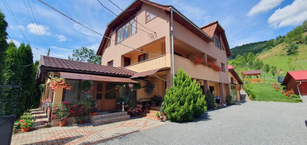 Pensiunea Apuseni — Hotel in Rogoz